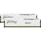 Kingston FURY FURY Beast 64GB 5600MT/s DDR5 CL36 DIMM (sæt med 2) White EXPO, Hukommelse Hvid, 64 GB, 2 x 32 GB, DDR5, 288-pin DIMM