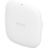 Netgear WAX210-100EUS, Adgangspunktet 
