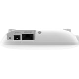 Netgear WAX210-100EUS, Adgangspunktet 