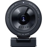 Razer Kiyo Pro, Webcam Sort
