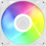 ARCTIC BioniX P14 A-RGB, Sag fan Hvid/Hvid