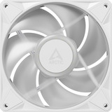 ARCTIC BioniX P14 A-RGB, Sag fan Hvid/Hvid