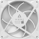ARCTIC BioniX P14 A-RGB, Sag fan Hvid/Hvid