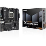 ASUS 90MB1N30-M0EAY0, Bundkort 