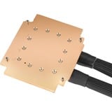 ASUS Grafikkort 