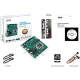 ASUS PRO H610T-CSM Intel H610 LGA 1700 Thin Mini ITX, Bundkort AMD, LGA 1700, Intel® Celeron®, Intel® Core™ i3, Intel® Core™ i5, Intel® Core™ i7, Intel® Core™ i9,..., DDR5-SDRAM, 64 GB, SO-DIMM
