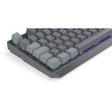 ENDORFY Gaming-tastatur grå, DE-layout, ENDORFY Red