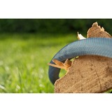 GARDENA Tekstilslange Liano Xtreme 1/2", 15 meter sæt mørk grå/Orange