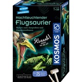 KOSMOS Eksperiment boks