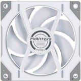 Phanteks D30-120 PWM Regular, Sag fan Hvid