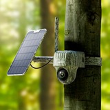 Reolink Go Series G450 + Solar Panel 2 Kuppel IP-sikkerhedskamera Udendørs 3840 x 2160 pixel Loft/væg, Overvågningskamera camouflage, IP-sikkerhedskamera, Udendørs, Kabel & trådløs, Google Assistant, Ekstern, Loft/væg