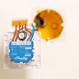 Shelly Wave 1, Stafetter Blå