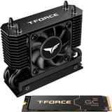 Team Group T-Force GA PRO 2 TB, Solid state-drev Sort