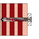 fischer DuoXpand 10x80 T R, 562163, Dyvel Lys grå/Rød