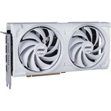 MSI V532-004R, Grafikkort 
