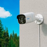 Reolink P340, Overvågningskamera Hvid/Sort