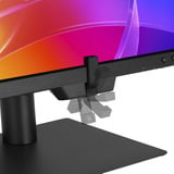ASUS ProArt PA32USD, OLED skærm Sort