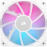 Corsair Corsair iCUE RX120 RGB Single wh, Sag fan Hvid