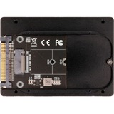 DeLOCK 2,5″ Konverter U.2 SFF-8639 til M.2 NVMe Sort