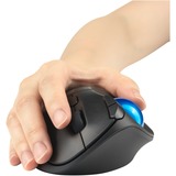 Kensington K72194WW, Trackball Sort/Blå