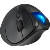 Kensington Pro Fit Ergo TB450 Trackball Sort/Blå, Højre hånd, Trackball, RF trådløs + Bluetooth, 1600 dpi, Sort, Blå