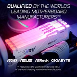 Kingston FURY FURY Beast 32 GB 6000 MT/s DDR5 CL36 DIMM White RGB EXPO, Hukommelse Hvid, 32 GB, 1 x 32 GB, DDR5, 288-pin DIMM