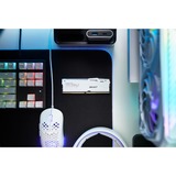 Kingston FURY FURY Beast 32 GB 6000 MT/s DDR5 CL36 DIMM White RGB EXPO, Hukommelse Hvid, 32 GB, 1 x 32 GB, DDR5, 288-pin DIMM