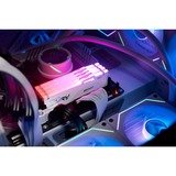 Kingston FURY FURY Beast 32 GB 6000 MT/s DDR5 CL36 DIMM White RGB EXPO, Hukommelse Hvid, 32 GB, 1 x 32 GB, DDR5, 288-pin DIMM