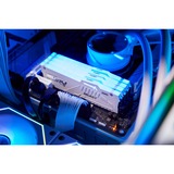 Kingston FURY FURY Beast 32 GB 6000 MT/s DDR5 CL36 DIMM White RGB EXPO, Hukommelse Hvid, 32 GB, 1 x 32 GB, DDR5, 288-pin DIMM