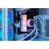 Kingston FURY FURY Beast 32 GB 6000 MT/s DDR5 CL36 DIMM White RGB EXPO, Hukommelse Hvid, 32 GB, 1 x 32 GB, DDR5, 288-pin DIMM