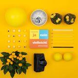 Pegasus Ja nej måske - Visse ting siger man ikke, Party spil festspil 