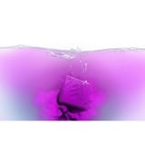 Spyra SpyraColor gul og lilla, Farve 