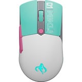 ASUS TUF Gaming Mini Wireless Mouse Hatsune Miku Edition mus Spil Højre hånd RF Wireless + Bluetooth + USB Type-A Optisk 1200 dpi, Gaming mus Turkis/Hvid, Højre hånd, Optisk, RF Wireless + Bluetooth + USB Type-A, 1200 dpi, Grøn, Grå, Lyserød
