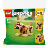LEGO 30666, Bygge legetøj 