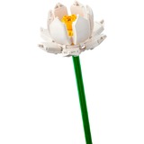 LEGO 40647, Bygge legetøj 