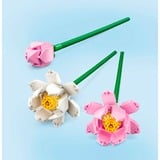 LEGO Botanicals Lotusblomster, Bygge legetøj Byggesæt, 8 År, Plast, 220 stk, 173 g