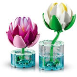 LEGO Botanicals Åkander, Bygge legetøj 