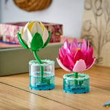 LEGO Botanicals Åkander, Bygge legetøj 