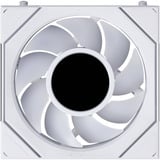 Lian Li UNI FAN SL-INF LCD FLEX 120 Wireless, Sag fan Hvid