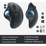 Logitech ERGO M575 for Business mus Højre hånd RF trådløs + Bluetooth Trackball 2000 dpi grafit/Blå, Højre hånd, Trackball, RF trådløs + Bluetooth, 2000 dpi, Grafit