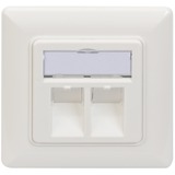 Digitus DN-93801-1 stikkontakt RJ-45 Hvid, Samledåse Hvid, RJ-45, Hvid, 80 mm, 5 mm, 80 mm