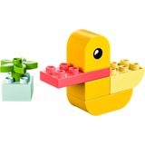 LEGO 30673, Bygge legetøj 