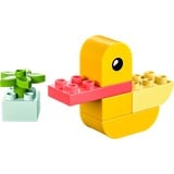 LEGO DUPLO Min første and, Bygge legetøj Byggesæt, 1,5 År, Plast, 7 stk, 64 g