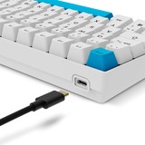 Sharkoon SKILLER SGK50 S2 PBT, Gaming-tastatur Hvid, DE-layout, Gateron G Pro 3.0 Yellow