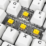 Sharkoon SKILLER SGK50 S2 PBT, Gaming-tastatur Hvid, DE-layout, Gateron G Pro 3.0 Yellow