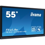 iiyama Offentlig visning Sort