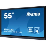 iiyama Offentlig visning Sort