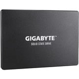 GIGABYTE Solid state-drev Sort