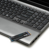 PNY M280CS2241-500-RB, Solid state-drev 