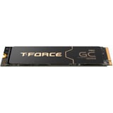 Team Group TM8FFL002T0C129, Solid state-drev 